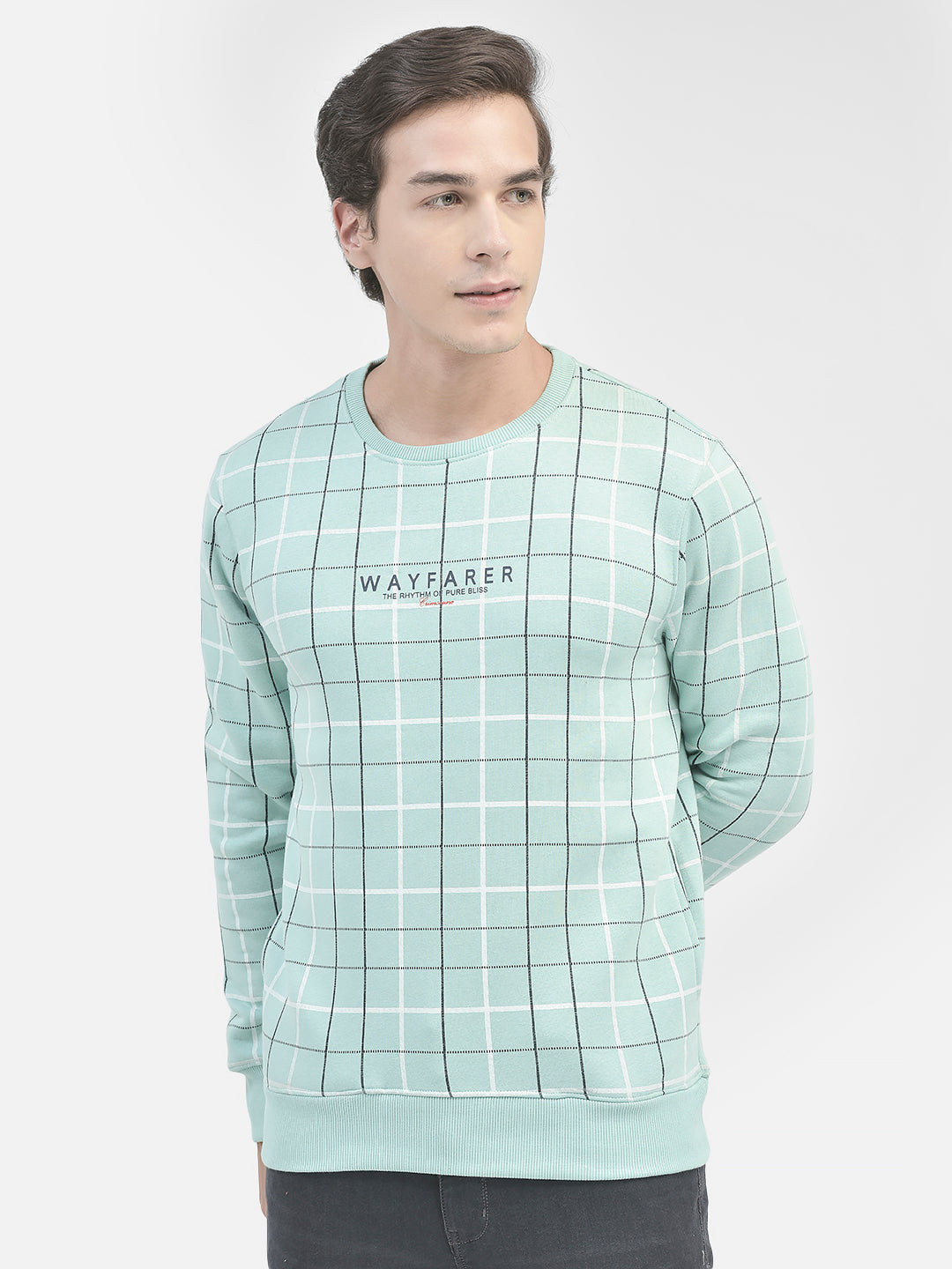 Green Striped Sweatshirt-Men Sweatshirts-Crimsoune Club