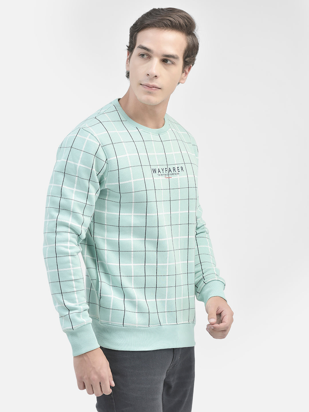 Green Striped Sweatshirt-Men Sweatshirts-Crimsoune Club