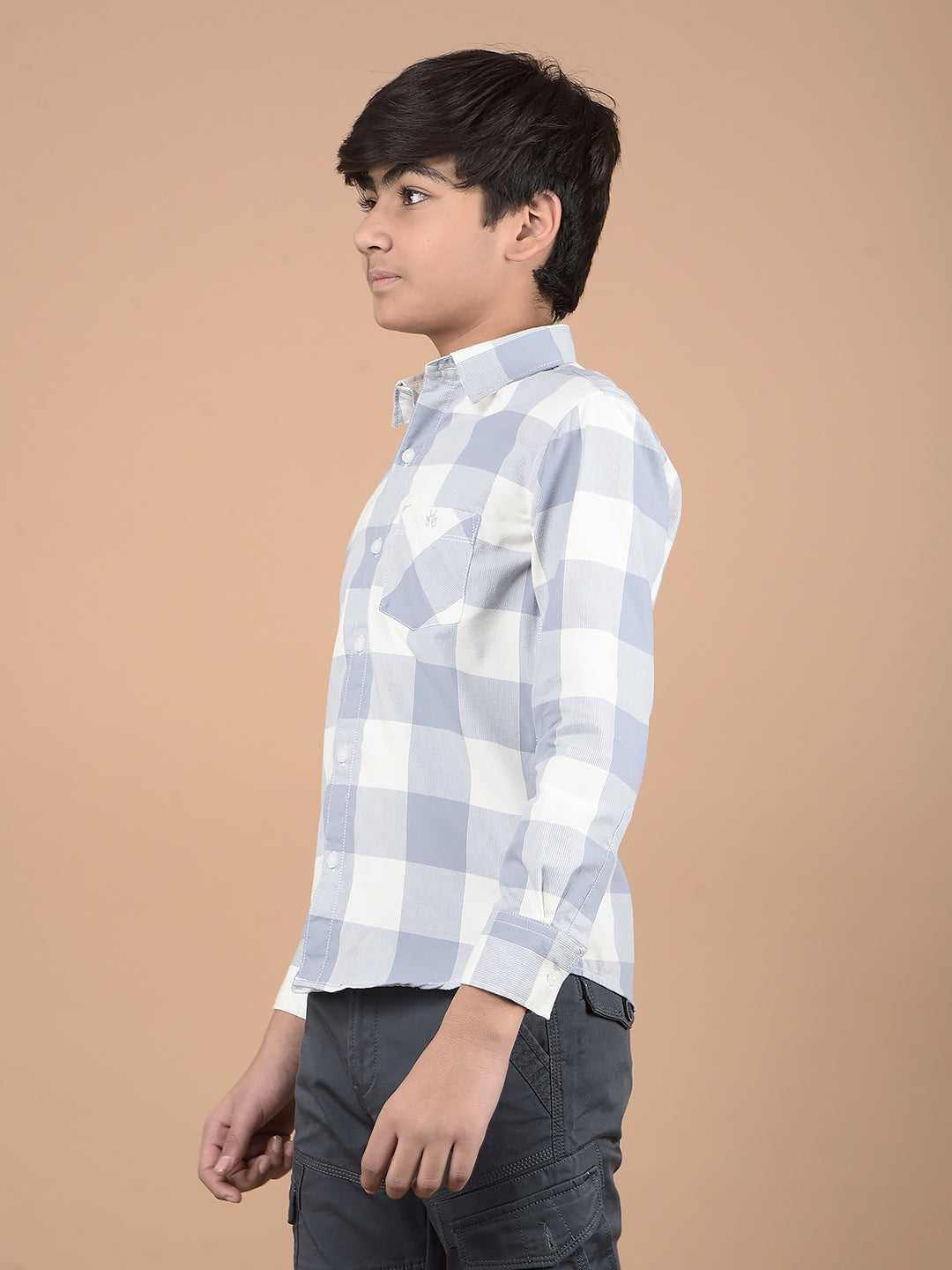 Blue Checked Button Down Collar Shirt-Boys Shirts-Crimsoune Club