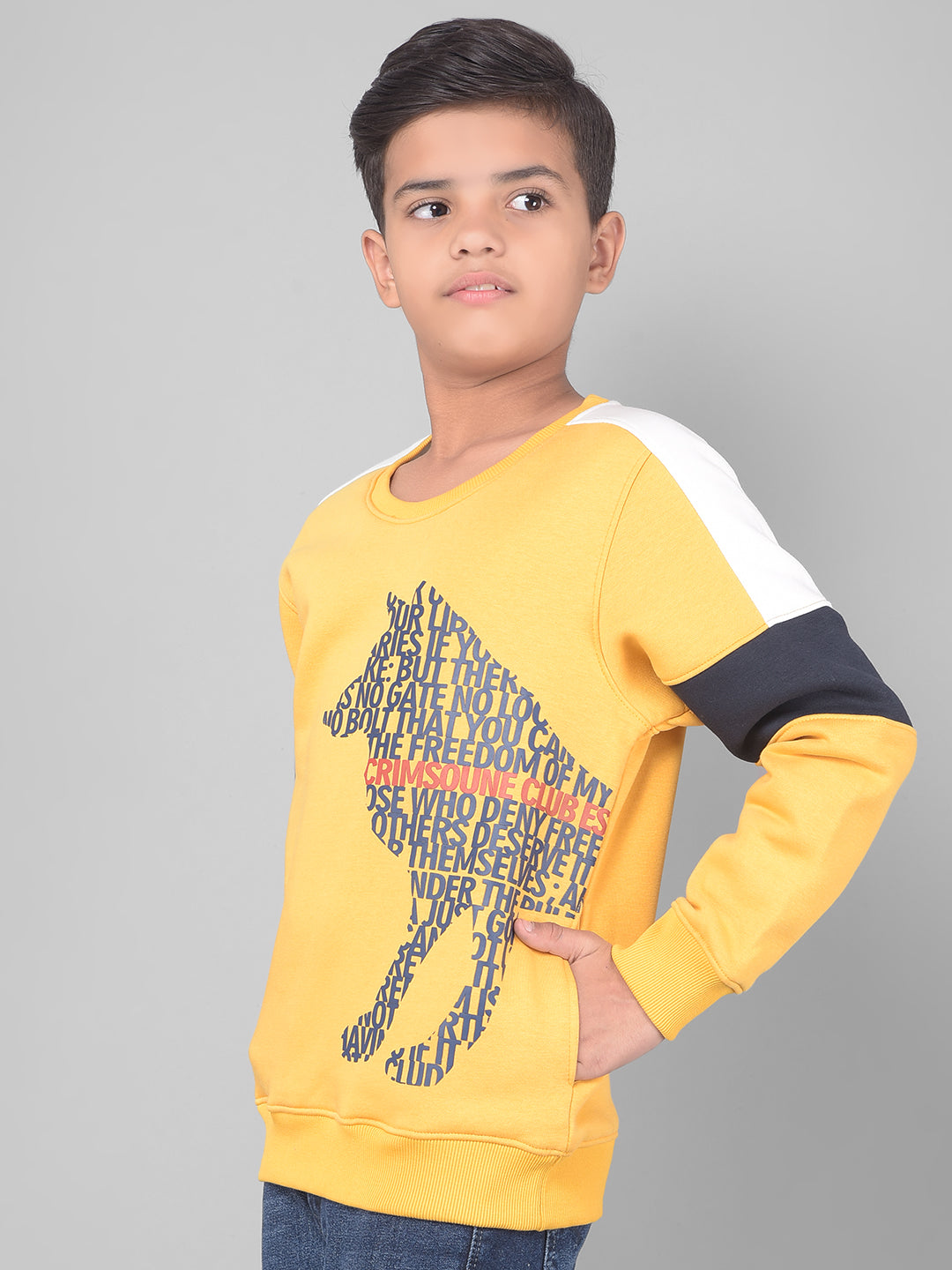 Mustard Printed Sweatshirt-Boys Sweatshirts-Crimsoune Club