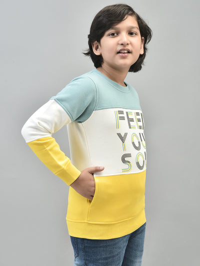 Multicolor Printed Sweatshirt-Boys Sweatshirts-Crimsoune Club