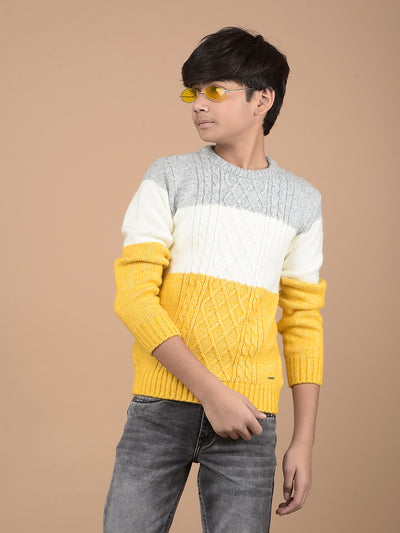 Mustard Printed Acrylic Sweater-Boys Sweaters-Crimsoune Club