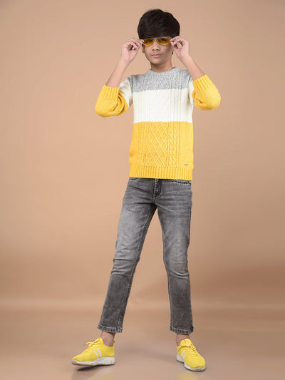 Mustard Printed Acrylic Sweater-Boys Sweaters-Crimsoune Club