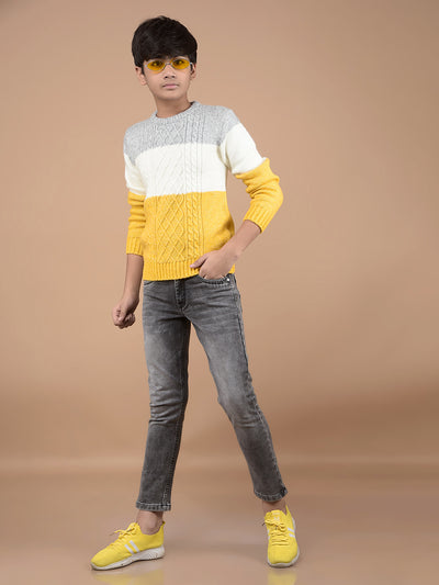 Mustard Printed Acrylic Sweater-Boys Sweaters-Crimsoune Club