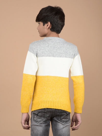 Mustard Printed Acrylic Sweater-Boys Sweaters-Crimsoune Club