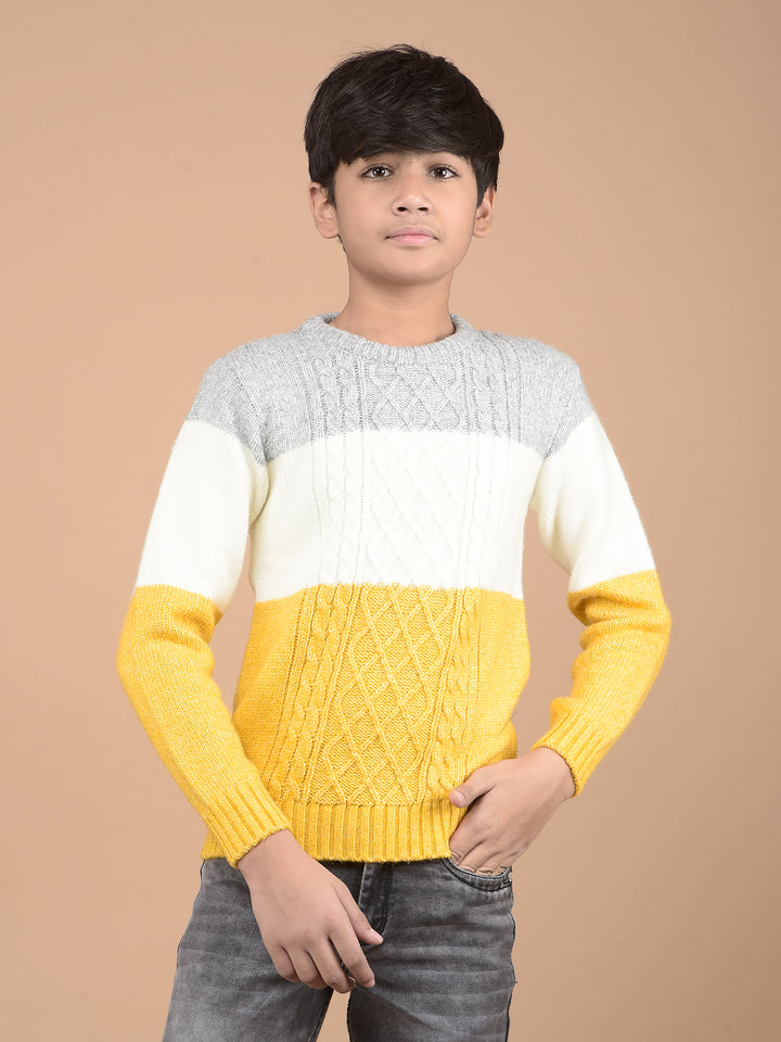 Mustard Printed Acrylic Sweater-Boys Sweaters-Crimsoune Club