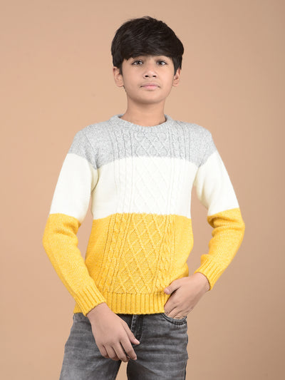 Mustard Printed Acrylic Sweater-Boys Sweaters-Crimsoune Club