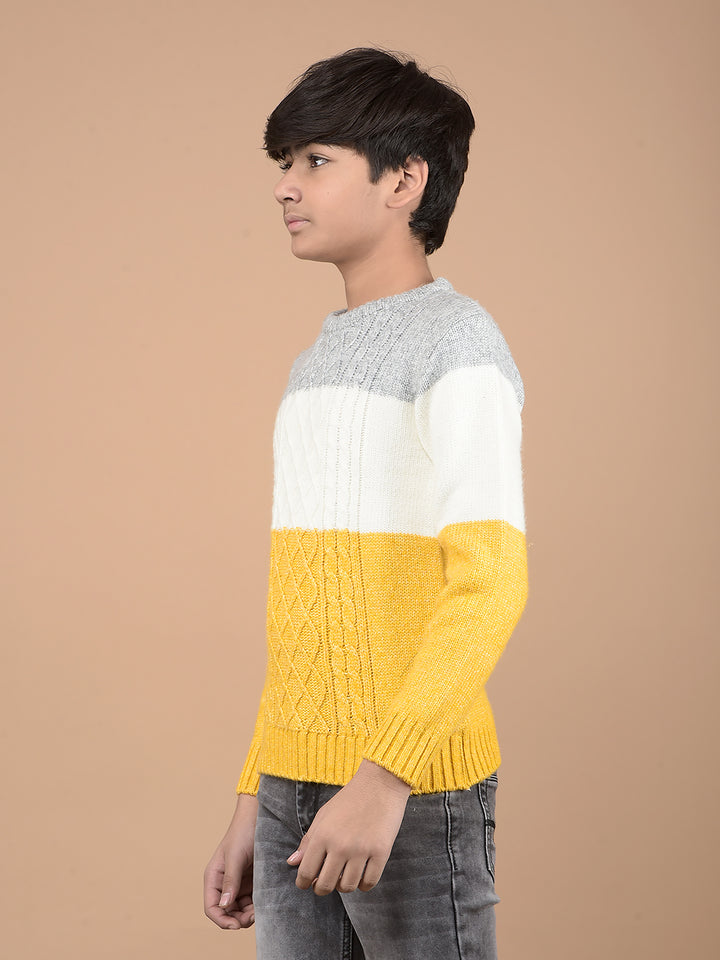 Mustard Printed Acrylic Sweater-Boys Sweaters-Crimsoune Club