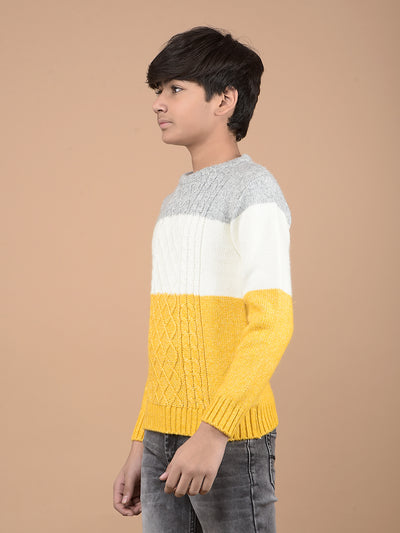 Mustard Printed Acrylic Sweater-Boys Sweaters-Crimsoune Club