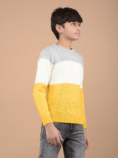 Mustard Printed Acrylic Sweater-Boys Sweaters-Crimsoune Club
