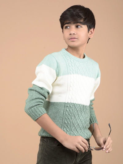 Green Printed Acrylic Sweater-Boys Sweaters-Crimsoune Club