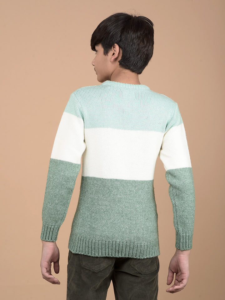 Green Printed Acrylic Sweater-Boys Sweaters-Crimsoune Club