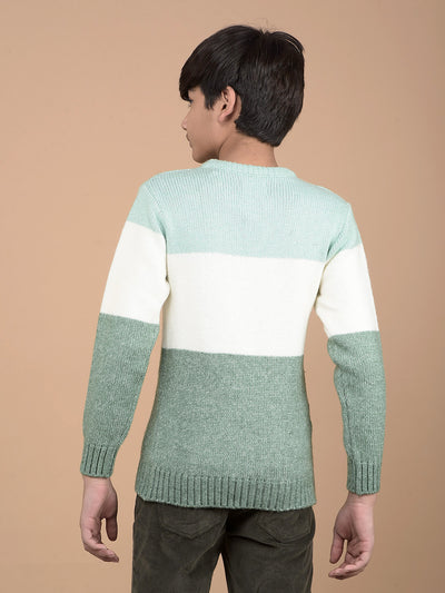 Green Printed Acrylic Sweater-Boys Sweaters-Crimsoune Club