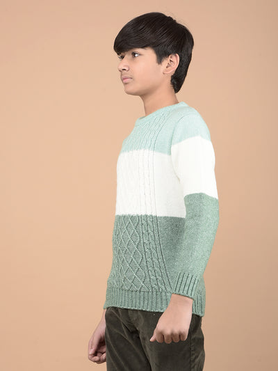 Green Printed Acrylic Sweater-Boys Sweaters-Crimsoune Club