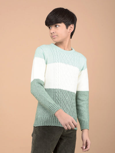 Green Printed Acrylic Sweater-Boys Sweaters-Crimsoune Club
