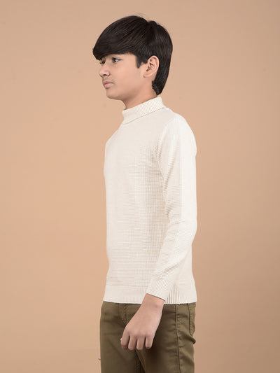 Beige High Neck 100% Cotton Sweater-Boys Sweaters-Crimsoune Club