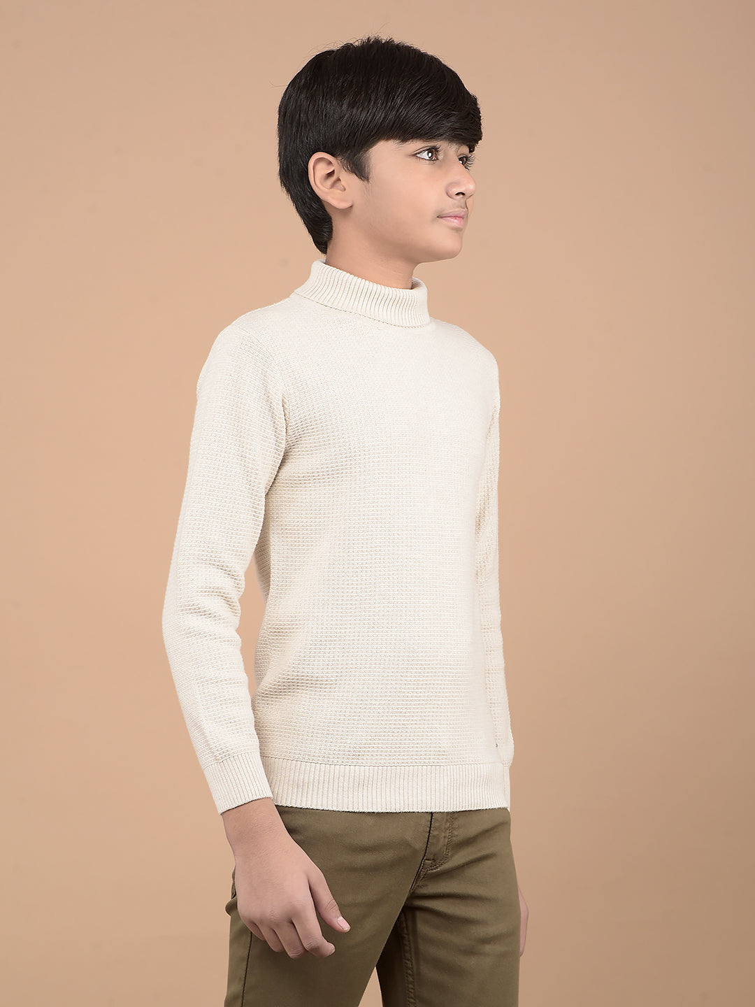 Beige High Neck 100% Cotton Sweater-Boys Sweaters-Crimsoune Club