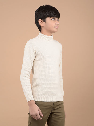 Beige High Neck 100% Cotton Sweater-Boys Sweaters-Crimsoune Club