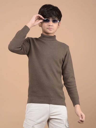 Brown High Neck 100% Cotton Sweater-Boys Sweaters-Crimsoune Club