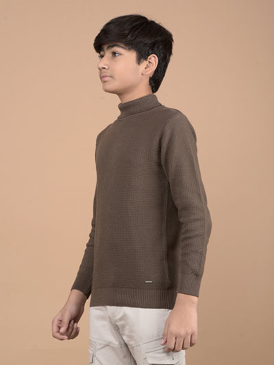 Brown High Neck 100% Cotton Sweater-Boys Sweaters-Crimsoune Club