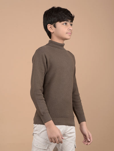 Brown High Neck 100% Cotton Sweater-Boys Sweaters-Crimsoune Club
