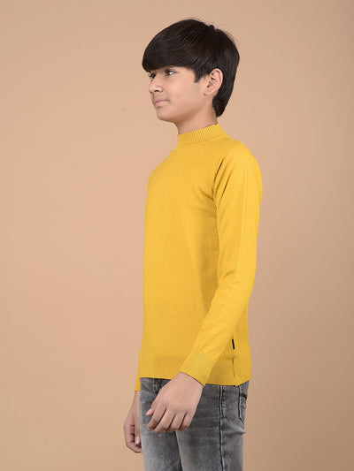 Mustard High Neck Sweater-Boys Sweaters-Crimsoune Club