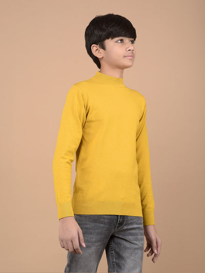 Mustard High Neck Sweater-Boys Sweaters-Crimsoune Club