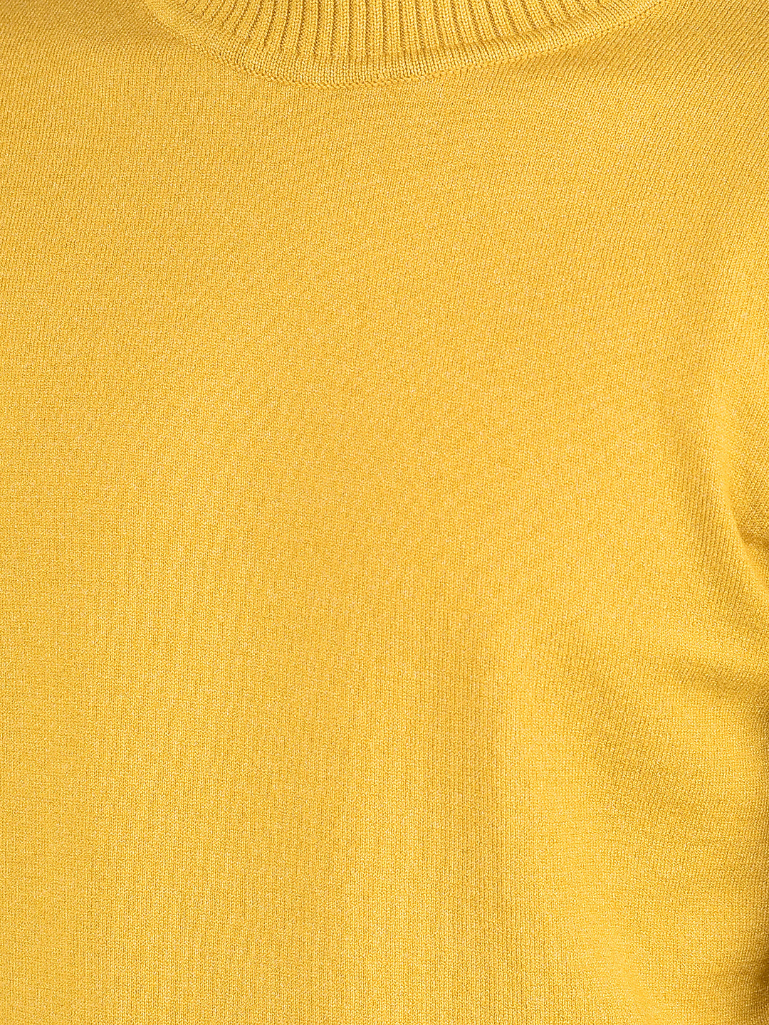 Mustard High Neck Sweater-Boys Sweaters-Crimsoune Club
