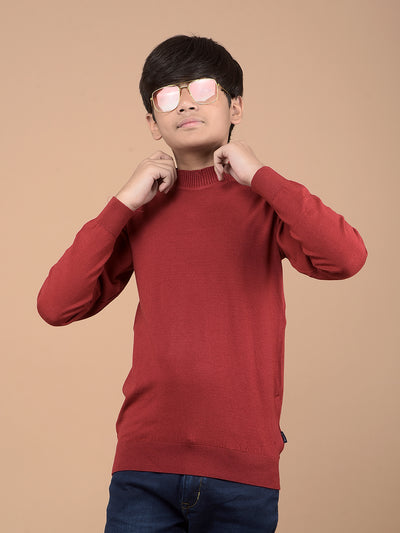 Maroon High Neck Sweater-Boys Sweaters-Crimsoune Club