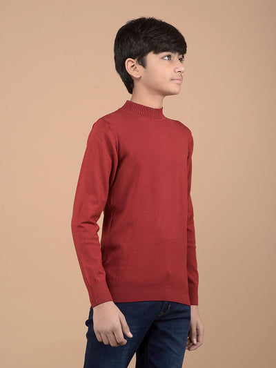 Maroon High Neck Sweater-Boys Sweaters-Crimsoune Club
