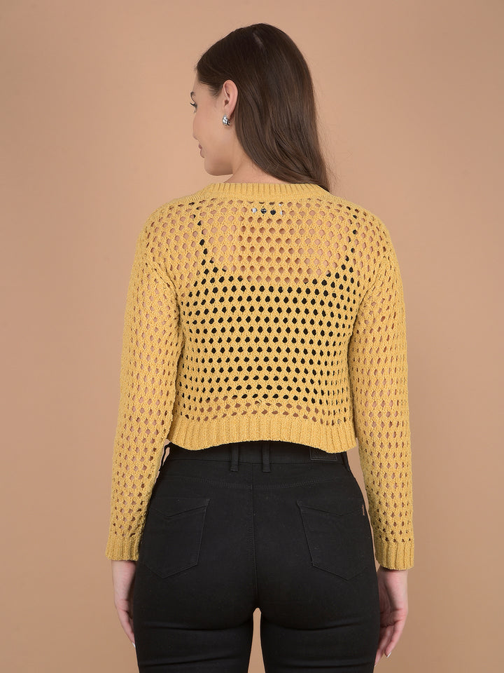 Mustard Crop Length Crochet Sweater-Women Sweaters-Crimsoune Club