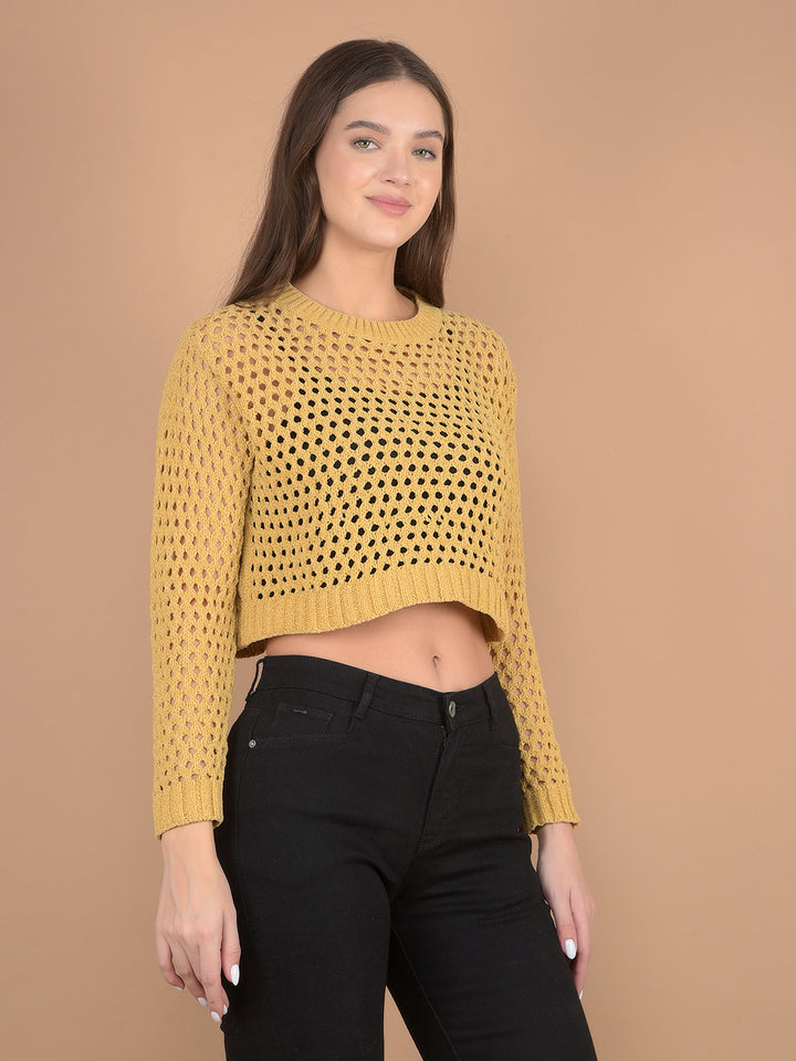Mustard Crop Length Crochet Sweater-Women Sweaters-Crimsoune Club