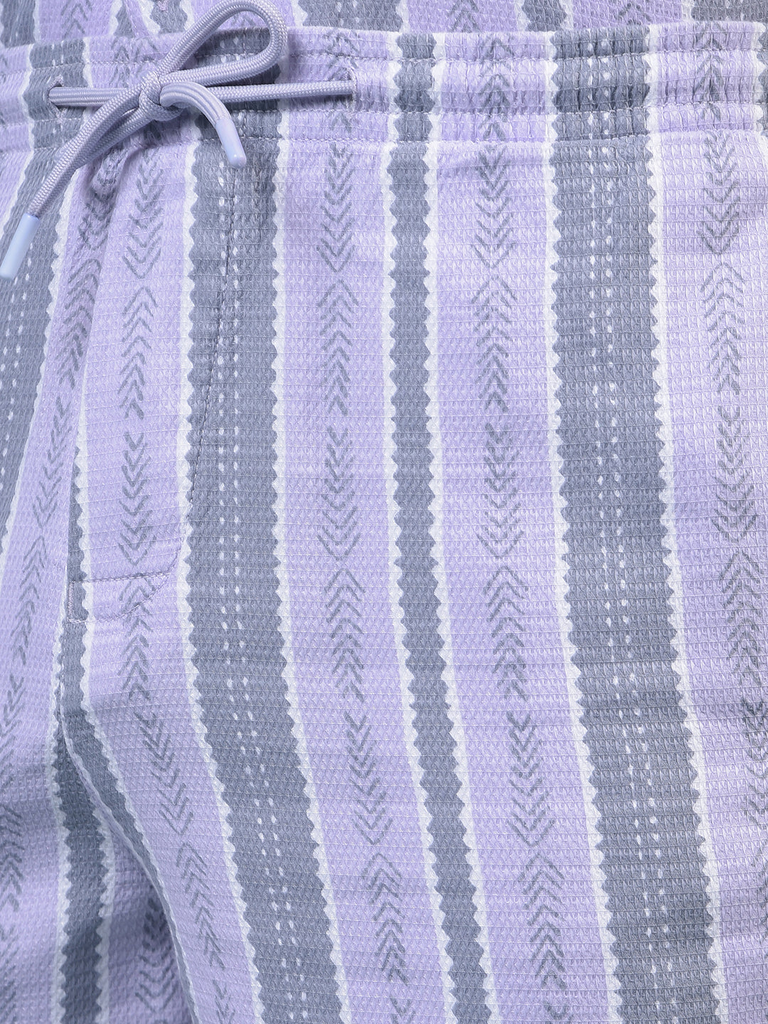 Men's Purple Vertical Stripes Shorts-Men Shorts-Crimsoune Club