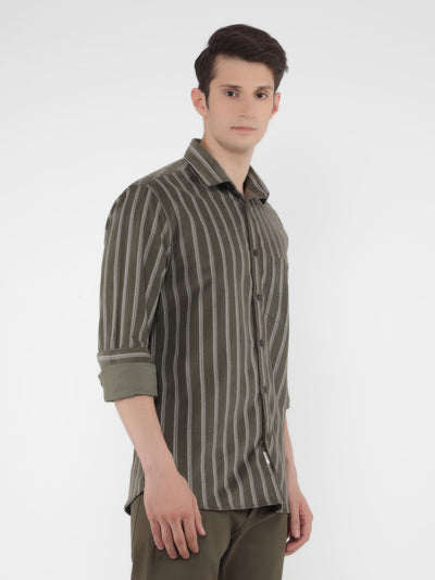 Olive 100% Cotton Striped Shirt-Men Shirts-Crimsoune Club