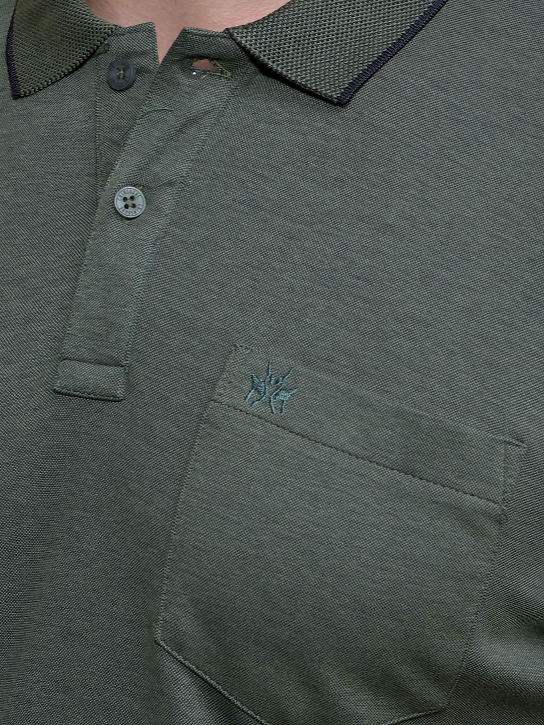Green Polo Neck T-Shirt-Men T-Shirts-Crimsoune Club