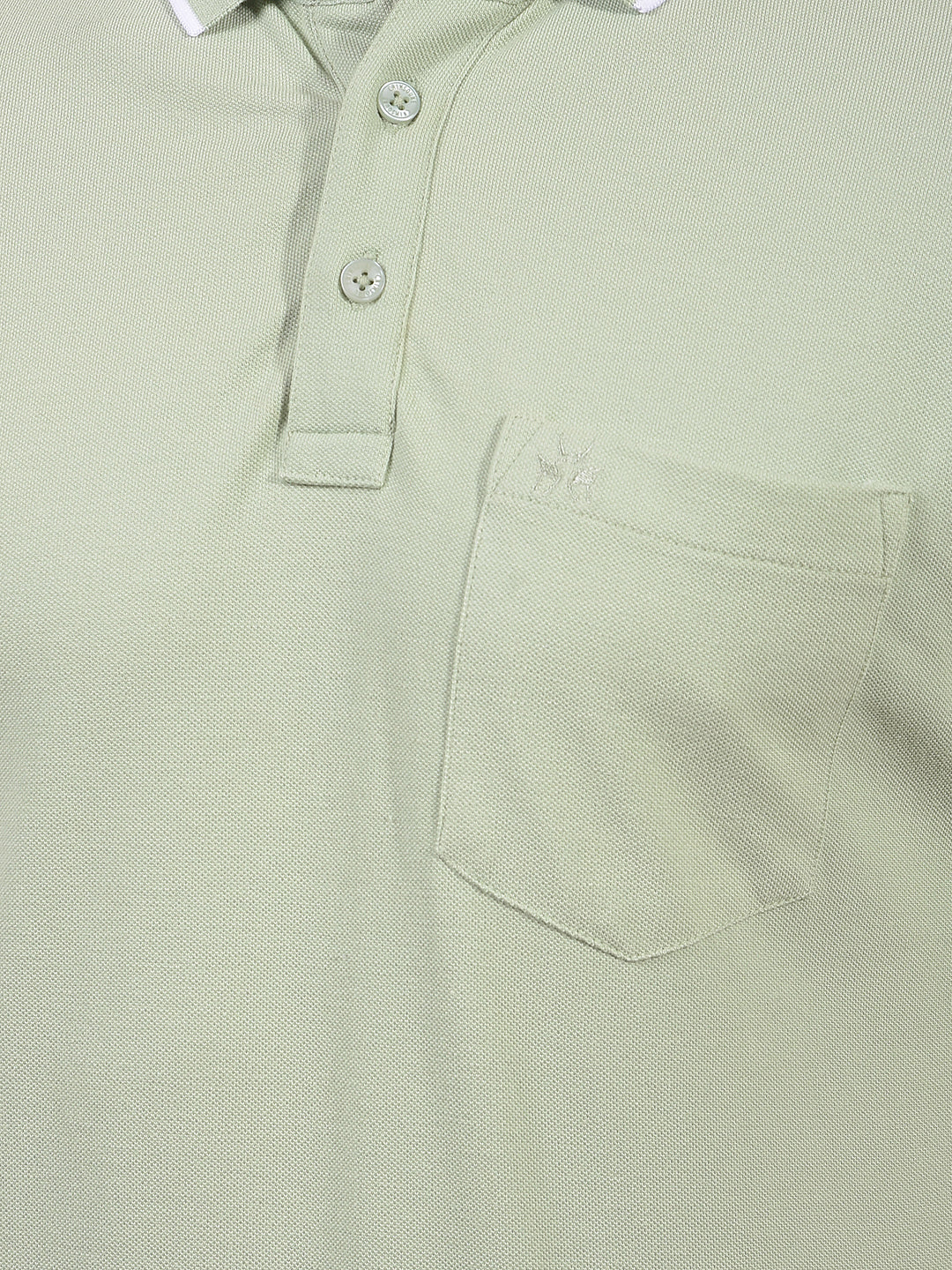 Green Polo Neck T-Shirt-Men T-Shirts-Crimsoune Club