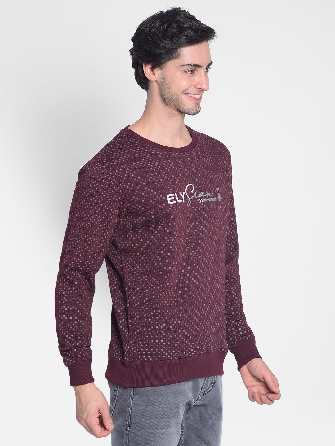 Wine Printed Sweatshirt-Men Sweatshirts-Crimsoune Club