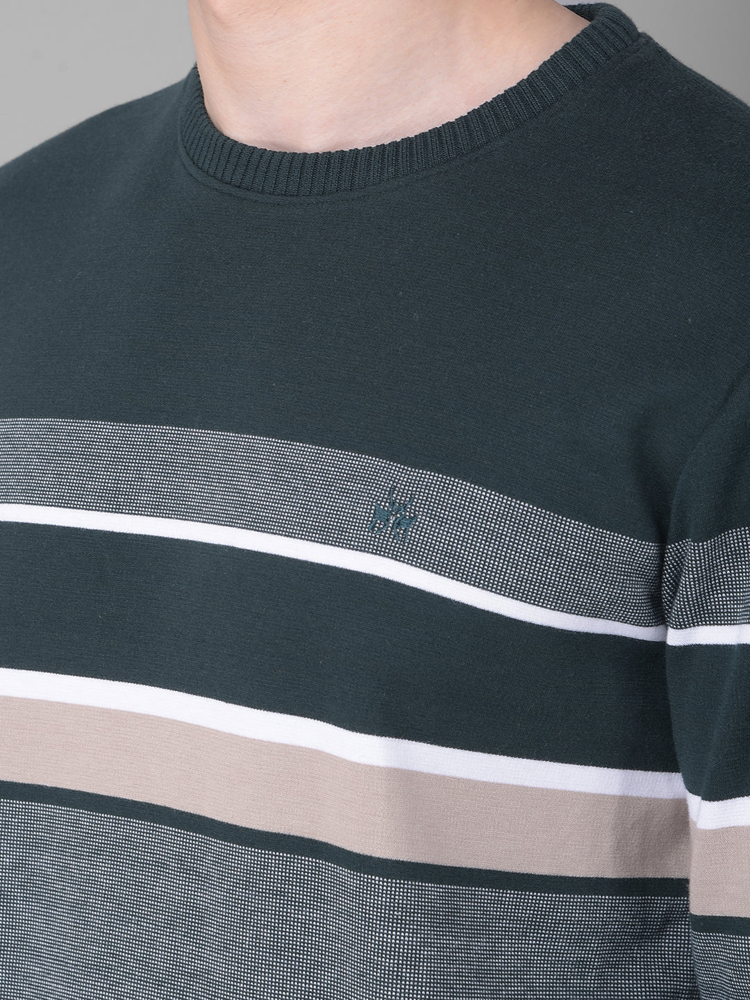 Green Striped Sweatshirt-Men Sweatshirts-Crimsoune Club