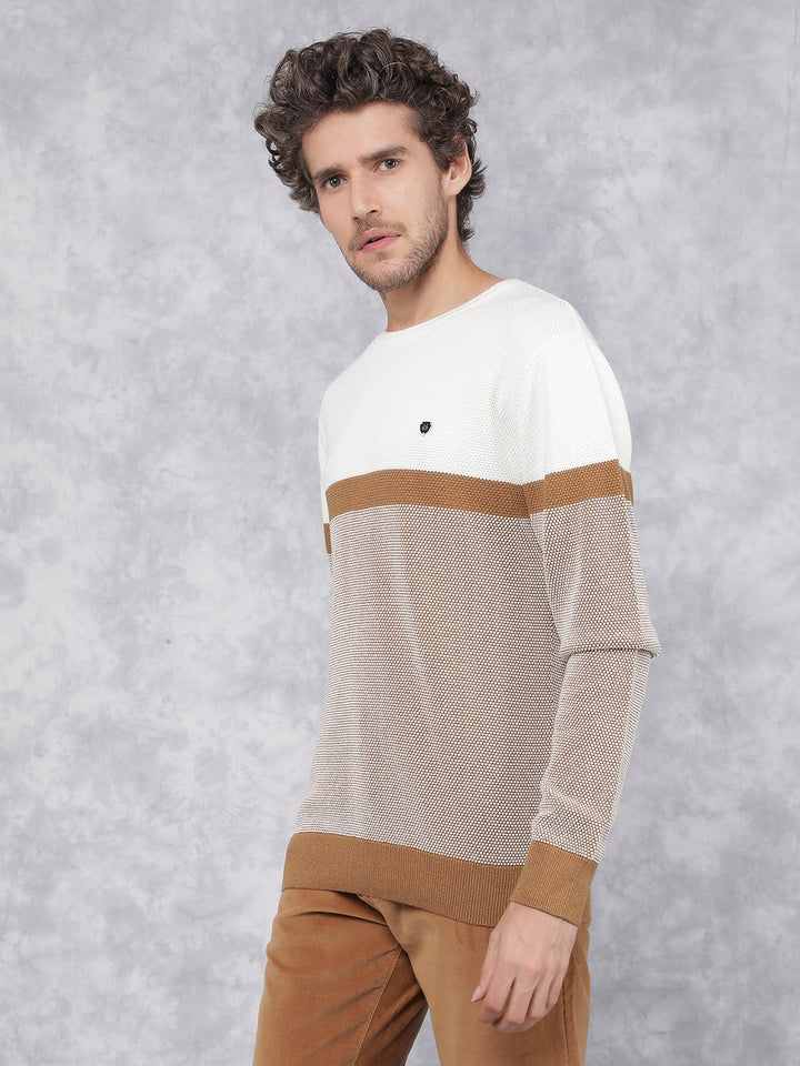White Color Blocked 100% Cotton Sweater-Men Sweaters-Crimsoune Club