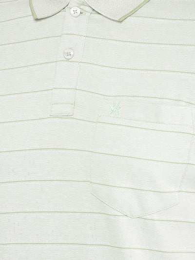 Green Horizontal Striped Polo Neck T-Shirt-Men T-Shirts-Crimsoune Club