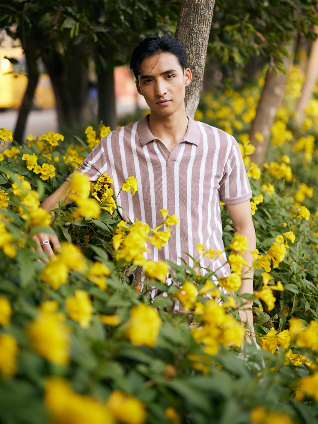 Pink Vertical Stripes 100% Cotton Polo Neck T-Shirt-Men T-Shirts-Crimsoune Club