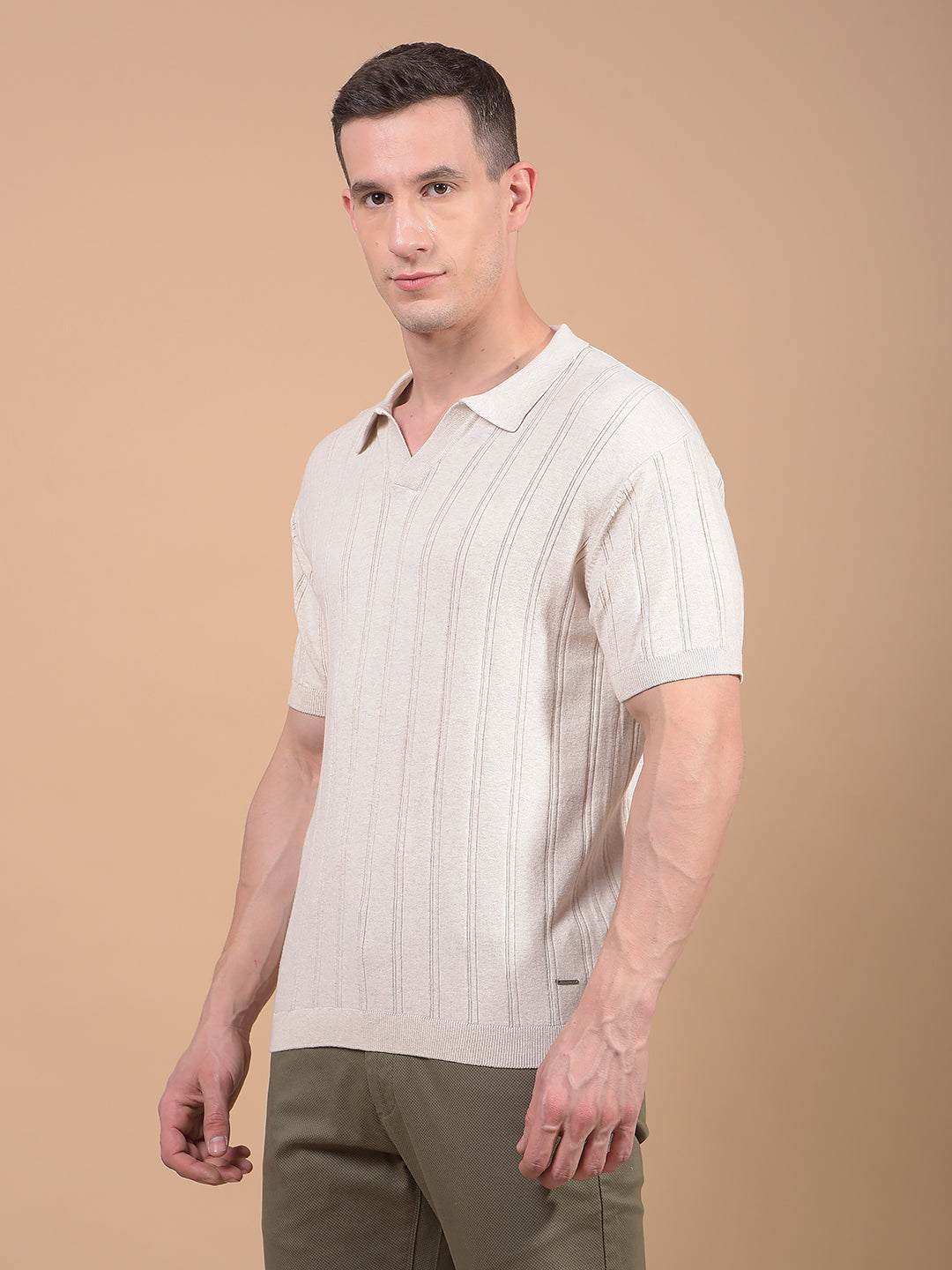 Beige Vertical Stripes Polo Neck T-Shirt-Men T-Shirts-Crimsoune Club