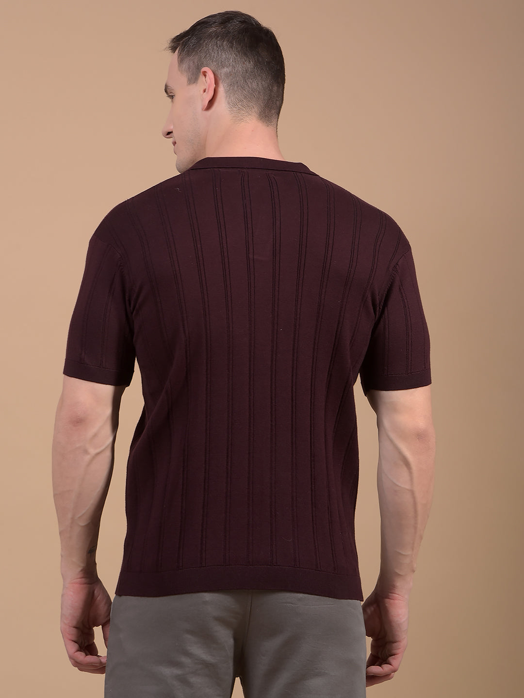 Wine Vertical Stripes Polo Neck T-Shirt-Men T-Shirts-Crimsoune Club