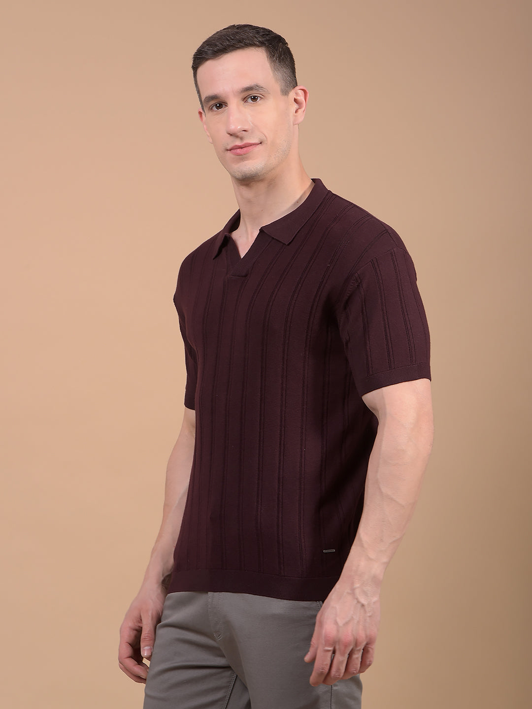 Wine Vertical Stripes Polo Neck T-Shirt-Men T-Shirts-Crimsoune Club