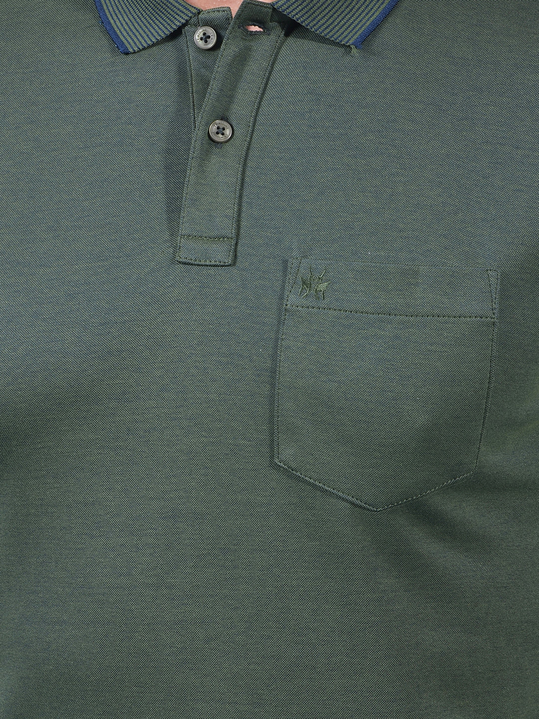 Green Polo Neck T-Shirt-Men T-Shirts-Crimsoune Club