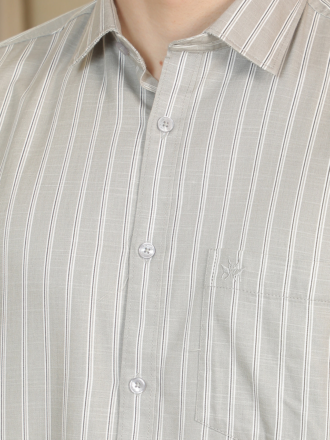 Grey Vertical Striped Shirt