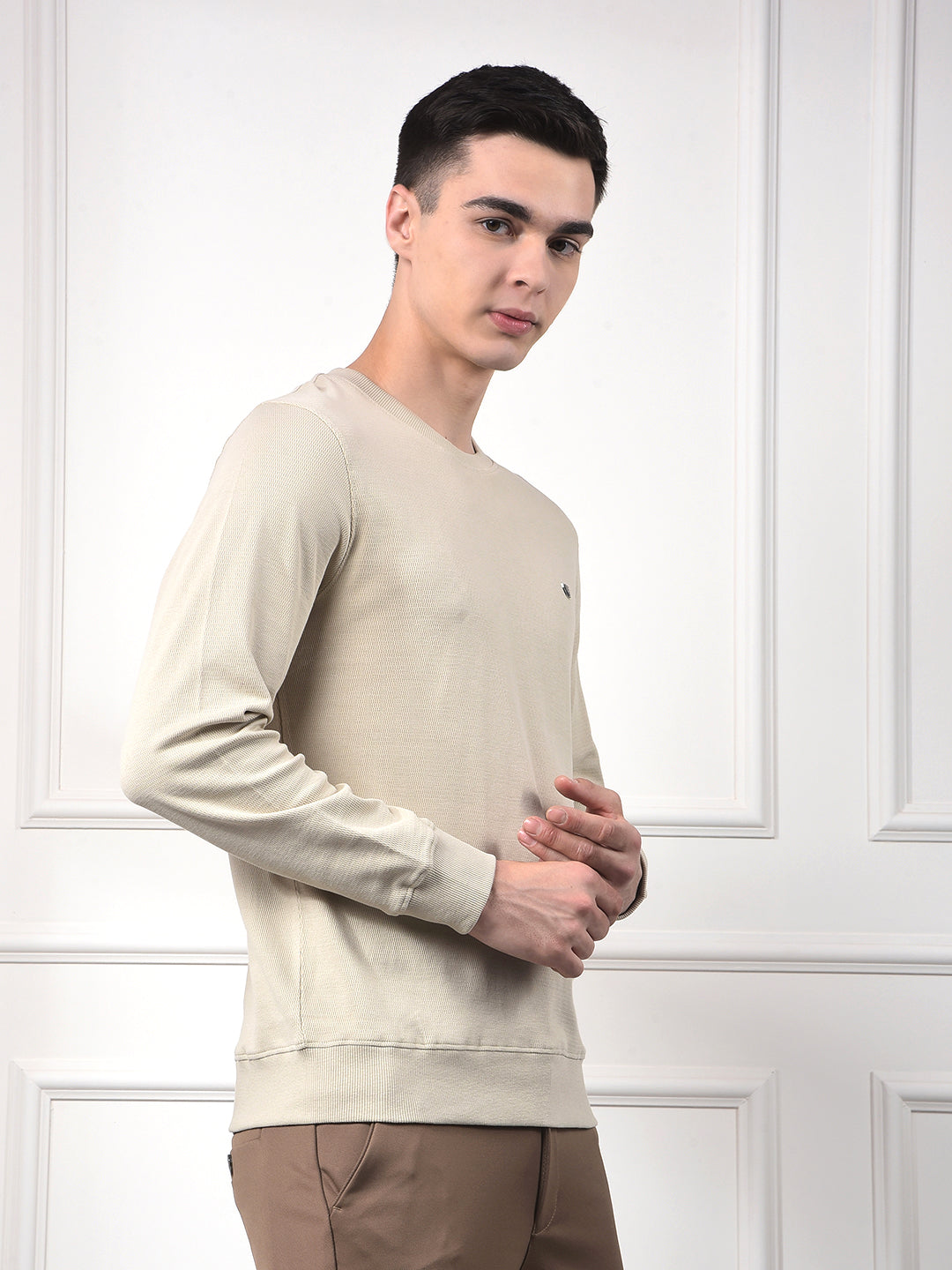 Sleek Beige 100% Cotton Sweatshirt