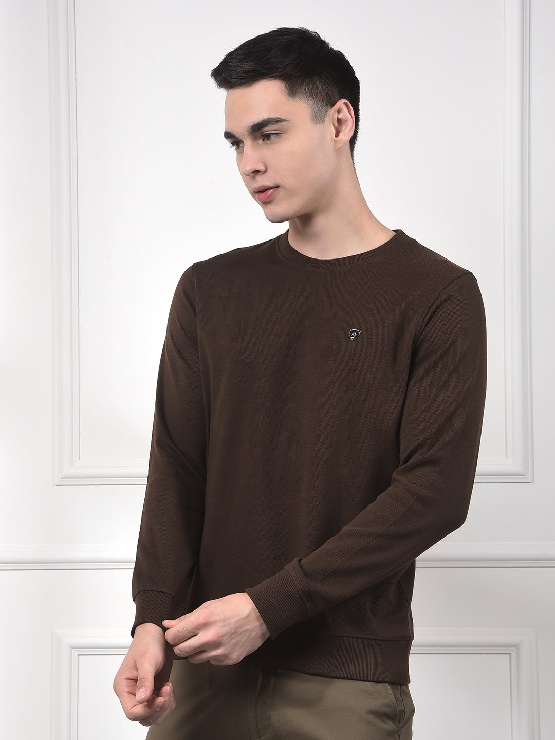 Snatched Brown 100% Cotton Sweatshirt