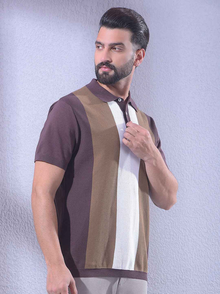 Brown Colorblocked 100% Cotton T-Shirt