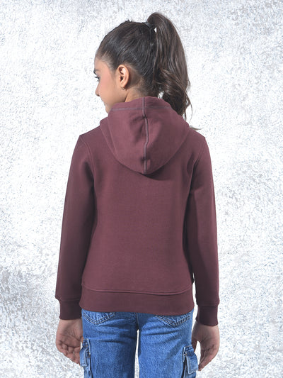 Brown Graphic Print Hooded Neck Knitted Sweatshirt